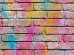 AS-Creation Steine^A.S. Création Vliestapete Boys & Girls 6 Stein bunt FSC®