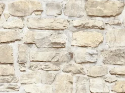 AS-Creation Steine^A.S. Création Vliestapete Il Decoro Stein FSC® Beige