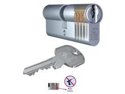 Wohnungseingangstüren*Basi - AS - Profil-Doppelzylinder - 35/55 mm - Gleichschließend