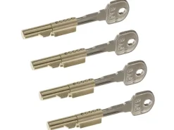 Basi Wohnungseingangstüren|Zimmertüren^- Schlüssellochsperrer - SS 12 - SET - Gleichschließend - je 2 Schlüssel - 4X9000-1201