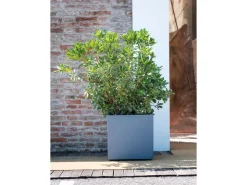 Deroma Drainage^Pflanztopf Quadro Millenium 49 cm x 49 cm x 49 cm Aschgrau