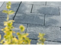 Diephaus Steine^Mauerstein Collo 28 x 21 x 7 cm Basalt
