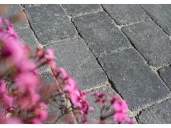 Diephaus Steine^Pflasterstein Collo 14 x 14 x 7 cm Basalt