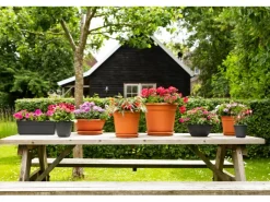 Drainage*Florus Pflanzschale Original Ø 34 cm Terrakotta