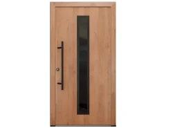 Haustüren^FM Türen AS68 Modell 21 1100 x 2100 Winchester Links Innen Beschläge Set 13 Glas 09