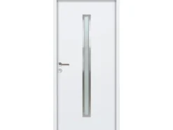 Nebeneingangstüren^FM Türen NBT56 Modell 01 1000 x 2100 Weiß Links