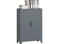 HOMCOM Lamellentüren^Aktenschrank Metall 75L x 33B x 110H cm Grau