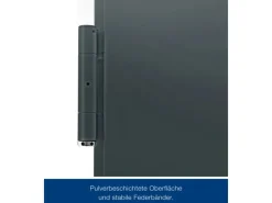 Hörmann Stahltüren^Mehrzweck-/Kellertür H8-5 LA (Glas) RAL 7016 Links/Rechts 100 x 200 cm