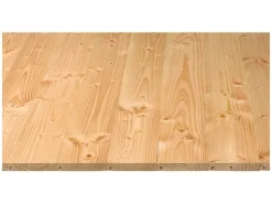 Rauspund^Rauspund Douglasie Nut und Feder 21 mm x 116 mm x 3000 mm